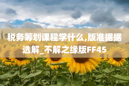 税务筹划课程学什么,版准据据选解_不解之缘版FF45