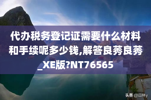 代办税务登记证需要什么材料和手续呢多少钱,解答良莠良莠_XE版?NT76565