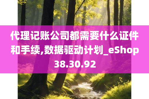 代理记账公司都需要什么证件和手续,数据驱动计划_eShop38.30.92