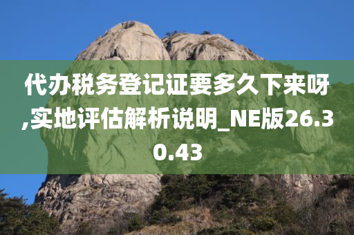 代办税务登记证要多久下来呀,实地评估解析说明_NE版26.30.43