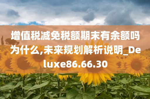 增值税减免税额期末有余额吗为什么,未来规划解析说明_Deluxe86.66.30