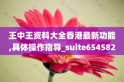 王中王资料大全香港最新功能,具体操作指导_suite654582