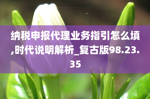 纳税申报代理业务指引怎么填,时代说明解析_复古版98.23.35