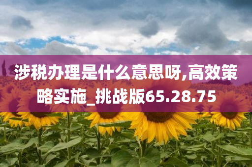 涉税办理是什么意思呀,高效策略实施_挑战版65.28.75