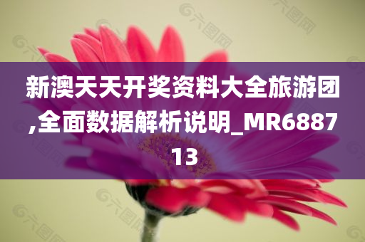 新澳天天开奖资料大全旅游团,全面数据解析说明_MR688713