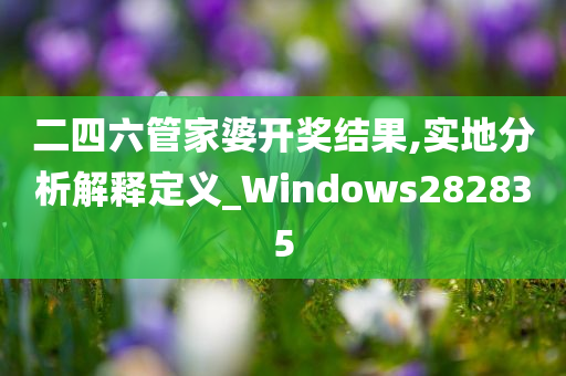 二四六管家婆开奖结果,实地分析解释定义_Windows282835