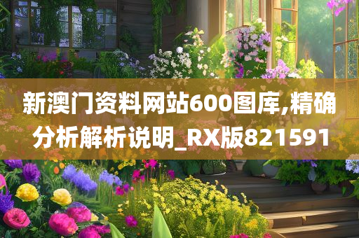 新澳门资料网站600图库,精确分析解析说明_RX版821591