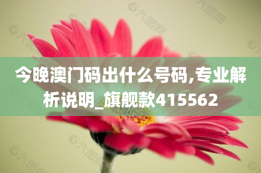 今晚澳门码出什么号码,专业解析说明_旗舰款415562