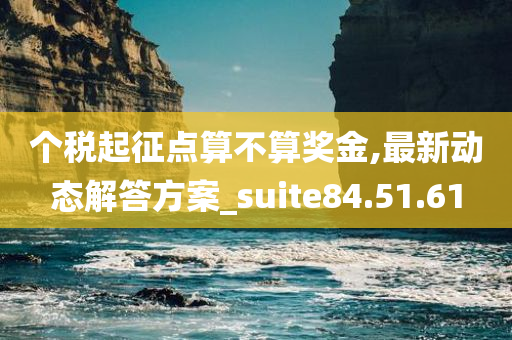 个税起征点算不算奖金,最新动态解答方案_suite84.51.61