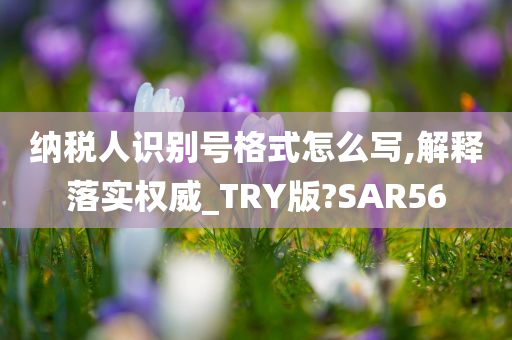 纳税人识别号格式怎么写,解释落实权威_TRY版?SAR56