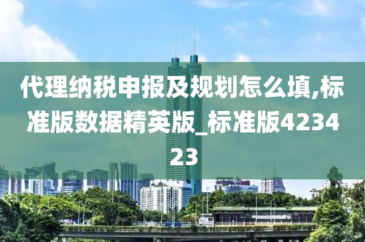 代理纳税申报及规划怎么填,标准版数据精英版_标准版423423