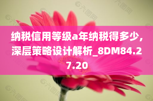 纳税信用等级a年纳税得多少,深层策略设计解析_8DM84.27.20