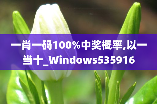 一肖一码100%中奖概率,以一当十_Windows535916