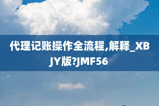 代理记账操作全流程,解释_XBJY版?JMF56