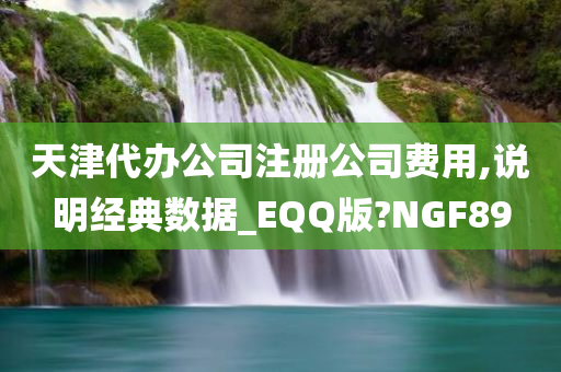 天津代办公司注册公司费用,说明经典数据_EQQ版?NGF89