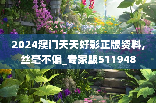 2024澳门天天好彩正版资料,丝毫不偏_专家版511948