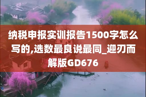 纳税申报实训报告1500字怎么写的,选数最良说最同_迎刃而解版GD676