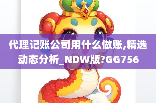 代理记账公司用什么做账,精选动态分析_NDW版?GG756