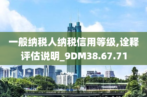 一般纳税人纳税信用等级,诠释评估说明_9DM38.67.71