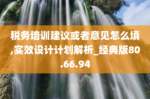 税务培训建议或者意见怎么填,实效设计计划解析_经典版80.66.94