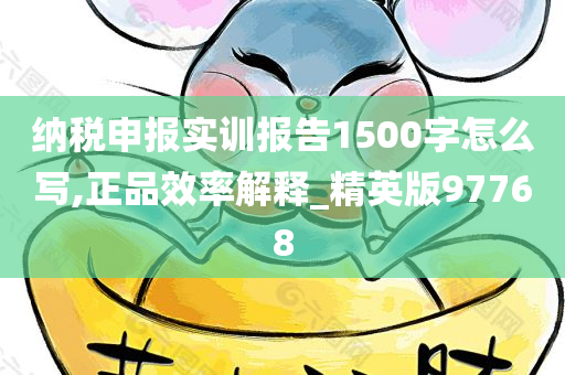 纳税申报实训报告1500字怎么写,正品效率解释_精英版97768