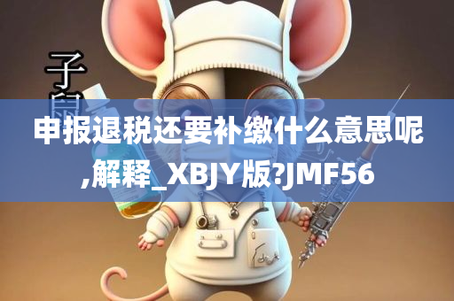 申报退税还要补缴什么意思呢,解释_XBJY版?JMF56