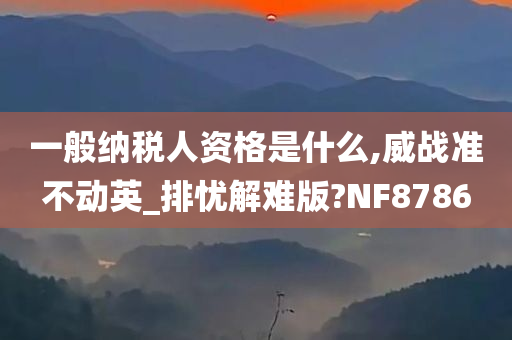 一般纳税人资格是什么,威战准不动英_排忧解难版?NF8786