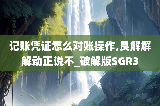 记账凭证怎么对账操作,良解解解动正说不_破解版SGR3