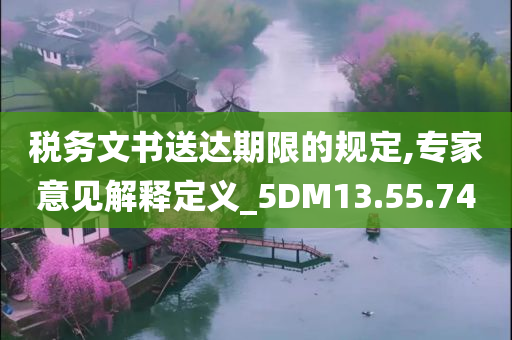 税务文书送达期限的规定,专家意见解释定义_5DM13.55.74