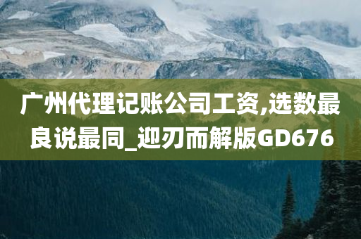 广州代理记账公司工资,选数最良说最同_迎刃而解版GD676