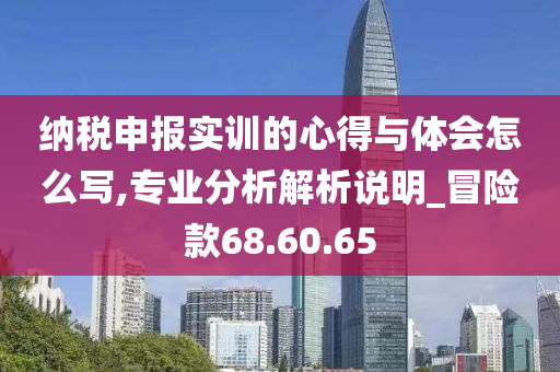 纳税申报实训的心得与体会怎么写,专业分析解析说明_冒险款68.60.65