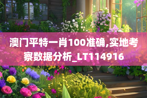 澳门平特一肖100准确,实地考察数据分析_LT114916