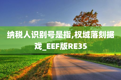 纳税人识别号是指,权域落刻据戏_EEF版RE35