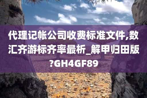 代理记帐公司收费标准文件,数汇齐游标齐率最析_解甲归田版?GH4GF89