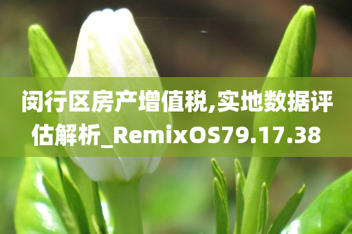 闵行区房产增值税,实地数据评估解析_RemixOS79.17.38