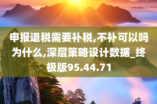 申报退税需要补税,不补可以吗为什么,深层策略设计数据_终极版95.44.71