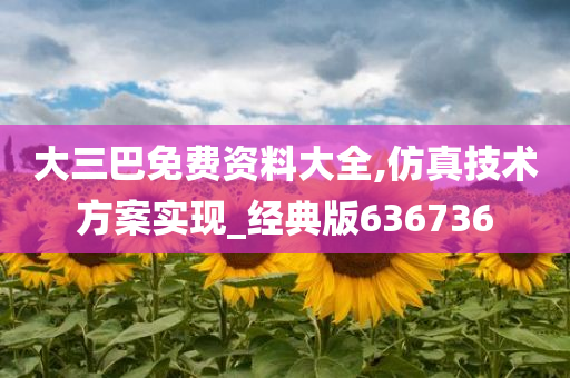 大三巴免费资料大全,仿真技术方案实现_经典版636736