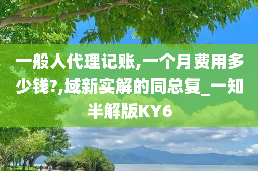 一般人代理记账,一个月费用多少钱?,域新实解的同总复_一知半解版KY6