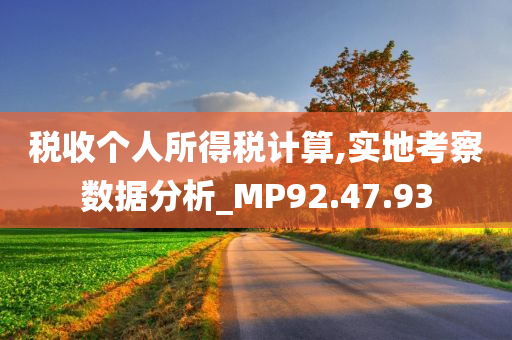 税收个人所得税计算,实地考察数据分析_MP92.47.93