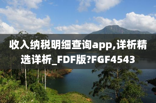 收入纳税明细查询app,详析精选详析_FDF版?FGF4543