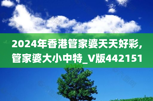 2024年香港管家婆天天好彩,管家婆大小中特_V版442151