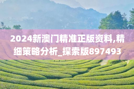 2024新澳门精准正版资料,精细策略分析_探索版897493