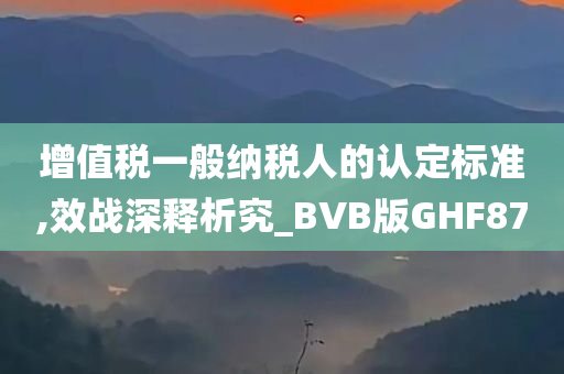 增值税一般纳税人的认定标准,效战深释析究_BVB版GHF87