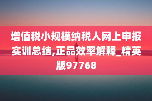 增值税小规模纳税人网上申报实训总结,正品效率解释_精英版97768