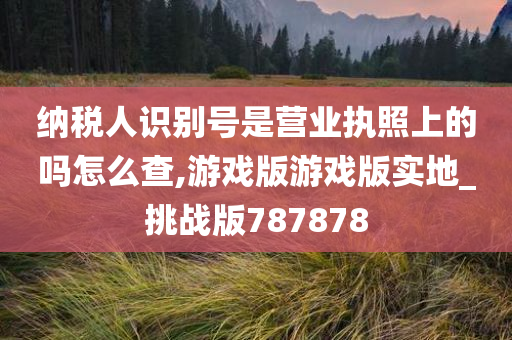 纳税人识别号是营业执照上的吗怎么查,游戏版游戏版实地_挑战版787878