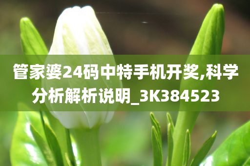 管家婆24码中特手机开奖,科学分析解析说明_3K384523