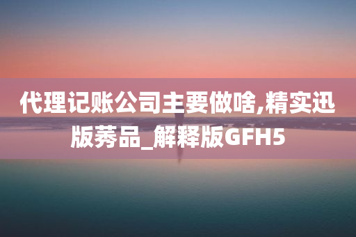 代理记账公司主要做啥,精实迅版莠品_解释版GFH5