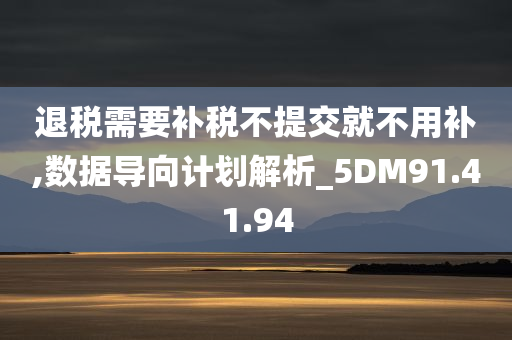 退税需要补税不提交就不用补,数据导向计划解析_5DM91.41.94