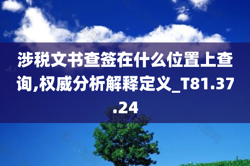 涉税文书查签在什么位置上查询,权威分析解释定义_T81.37.24