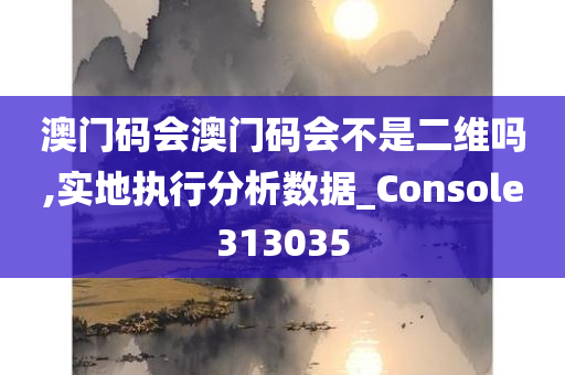 澳门码会澳门码会不是二维吗,实地执行分析数据_Console313035